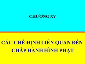 Bài giảng Luật Hình sự Việt Nam - Chương XV: Các chế định liên quan đến chấp hành hình phạt