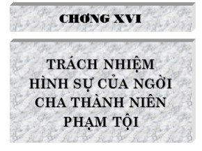 Bài giảng Luật Hình sự Việt Nam - Chương XVI: Trách nhiệm hình sự của người chưa thành niên phạm tội