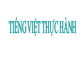 Bài giảng Tiếng Việt thực hành