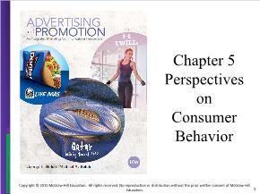 Marketing bán hàng - Chapter 5: Perspectives on consumer behavior