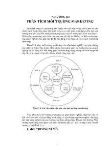 Marketing bán hàng - Chương III: Phân tích môi trường marketing