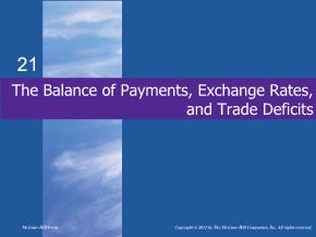 Kinh tế học - The balance of payments, exchange rates, and trade deficits
