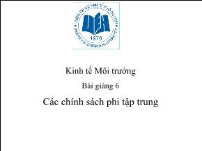 Kinh tế Môi trường - Bài giảng 6: Các chính sách phi tập trung