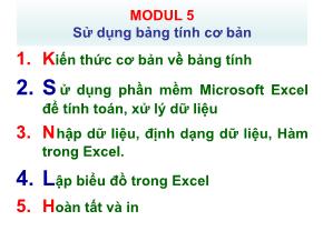 Bài giảng Ôn tập Tin học cơ bản - Võ Minh Đức - Modul 5: Sử dụng bảng tính cơ bản