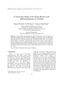 A Taxonomic Study of the Genus Blastus Lour. (Melastomataceae) in Vietnam