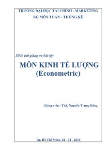 Bài giảng và bài tập môn Kinh tế lượng (Econometric)