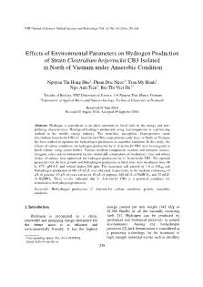 Effects of Environmental Parameters on Hydrogen Production of Strain Clostridium beijerinckii CB3 Isolated in North of Vietnam under Anaerobic Condition
