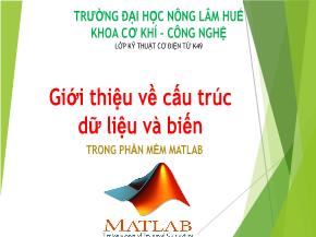 Giới thiệu về cấu trúc dữ liệu và biến trong phần mềm Matlab