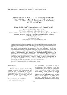 Identification of R2R3- MYB Transcription Factor (AtMYB13) as a Novel Substrate of Arabidopsis MPK3 and MPK6
