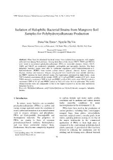 Isolation of Halophilic Bacterial Strains from Mangrove Soil Samples for Polyhydroxyalkanoate Production