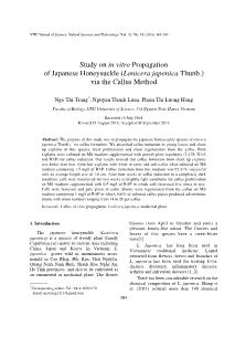 Study on in vitro Propagation of Japanese Honeysuckle (Lonicera japonica Thunb.) via the Callus Method