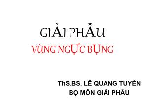 Bài giảng Giải phẫu vùng ngực bụng - Lê Quang Tuyền