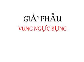 Bài giảng Giải phẫu vùng ngực bụng - Phần 2