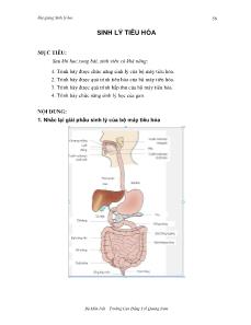 Bài giảng Sinh lý học - Sinh lý tiêu hóa