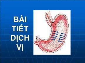 Bài tiết dịch vị