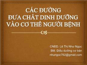 Các đường đưa chất dinh dưỡng vào cơ thể người bệnh