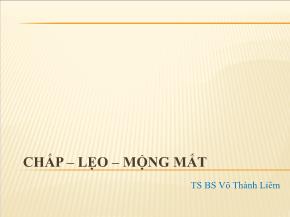 Chắp - Lẹo - Mộng mắt