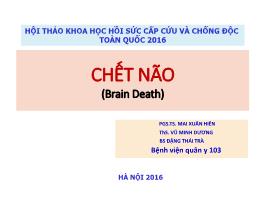 Chết não (Brain Death)