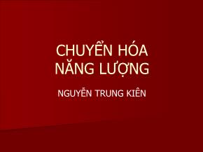 Chuyển hóa năng lượng