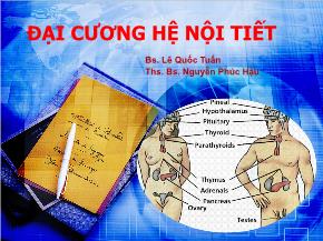 Đại cương hệ nội tiết - Lê Quốc Tuấn