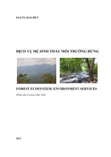 Dịch vụ hệ sinh thái/ môi trường rừng