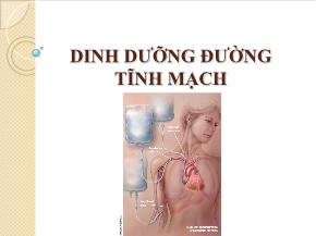 Dinh dưỡng đường tĩnh mạch