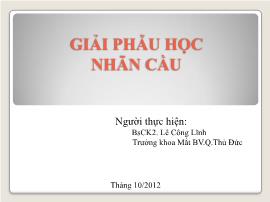 Giải phẫu học nhãn cầu