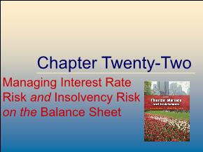 Managing Interest Rate Risk and Insolvency Risk on the Balance Sheet