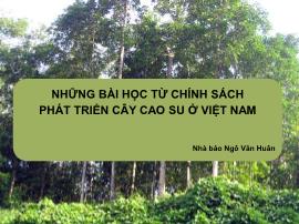 Những bài học từ chính sách phát triển cây cao su ở Việt Nam