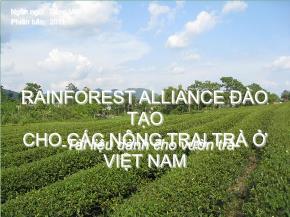 Rainforest Alliance đào tạo cho các nông trại trà ở Việt Nam