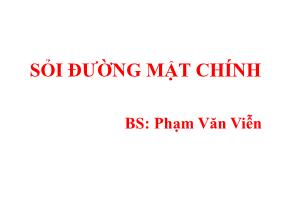 Sỏi đường mật chính - Phạm Văn Viễn