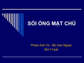 Sỏi ống mật chủ - Phạm Anh Vũ