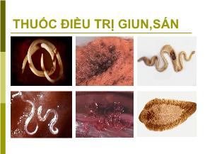 Thuốc điều trị giun,sán