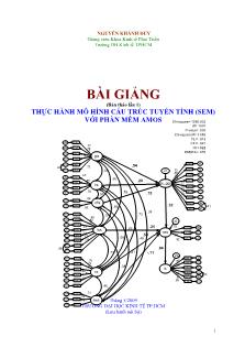 Bài giảng Thực hành mô hình cấu trúc tuyến tính (SEM) với phần mềm AMOS (Phần 1)