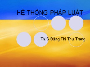 Bài giảng Hệ thống pháp luật - Đặng Thị Thu Trang