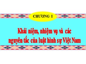 Bài giảng Luật Hình sự Việt Nam - Chương I: Khái niệm, nhiệm vụ và các nguyên tắc của luật hình sự Việt Nam