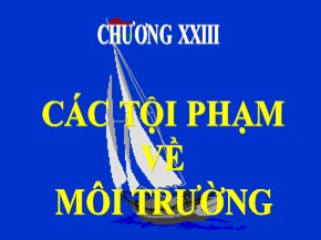 Bài giảng Luật Hình sự Việt Nam - Chương XXIII: Các tội phạm về môi trường