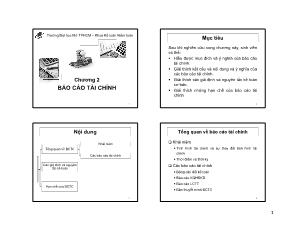 Bài giảng Nguyên lý kế toán - Chương 2: Báo cáo tài chính