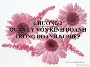Bài giảng Nhập môn tài chính - Chương 2: Quản lý nguồn vốn trong doanh nghiệp - Chu Thị Thu Thủy