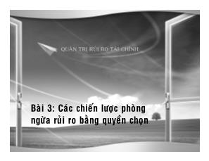 Bài giảng Quản trị rủi ro tài chính - Bài 3: Các chiến lược phòng ngừa rủi ro bằng quyền chọn