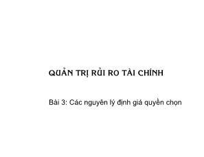 Bài giảng Quản trị rủi ro tài chính - Bài 3: Các nguyên lý định giá quyền chọn