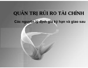 Bài giảng Quản trị rủi ro tài chính: Các nguyên lý định giá kỳ hạn và giao sau