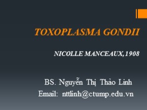 Bài giảng Toxoplasma gondii - Nguyễn Thị Thảo Linh