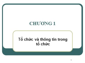 Bài giảng Hệ thống thông tin quản lý - Chương 1: Tổ chức và thông tin trong tổ chức