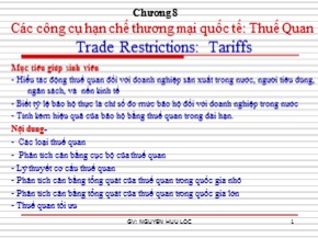 Bài giảng Thương mại quốc tế - Chương 8: Các công cụ hạn chế thương mại quốc tế: Thuế Quan - Nguyễn Hữu Lộc
