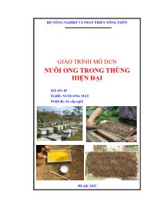 Giáo trình Nuôi ong trong thùng hiện đại - Phạm Thanh Hải