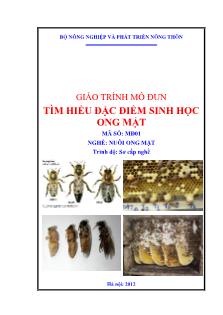 Giáo trình Tìm hiểu đặc điểm sinh học ong mật