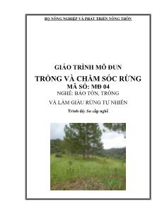 Giáo trình Trồng và chăm sóc rừng - Nguyễn Thanh Nhàn