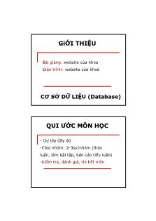 Bài giảng Cơ sở dữ liệu (Database) - Chương 1: Tổng quan về Cơ sở dữ liệu