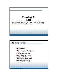 Bài giảng Cơ sở dữ liệu (Database) - Chương 5: SQL (Structured Query Language)